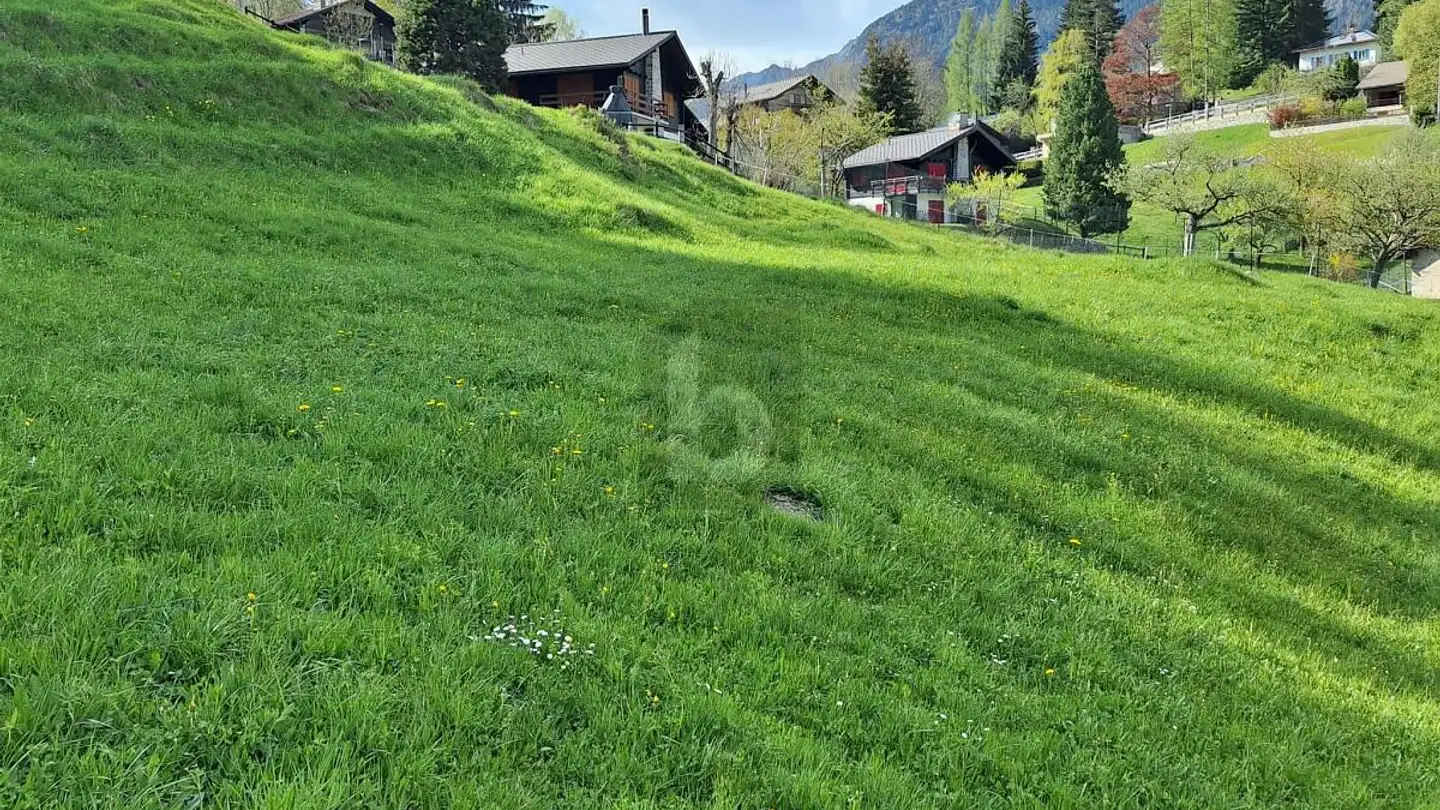 Constructible plot for sale - 6774 Dalpe