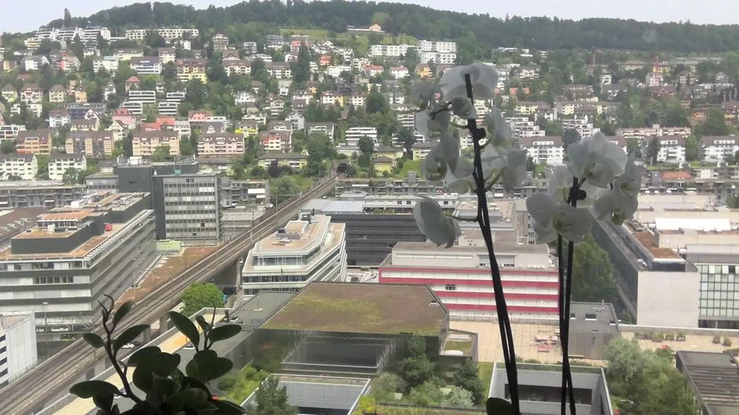 Chambre à louer - Pfingstweidstrasse 94, 8005 Zürich - Photo 4