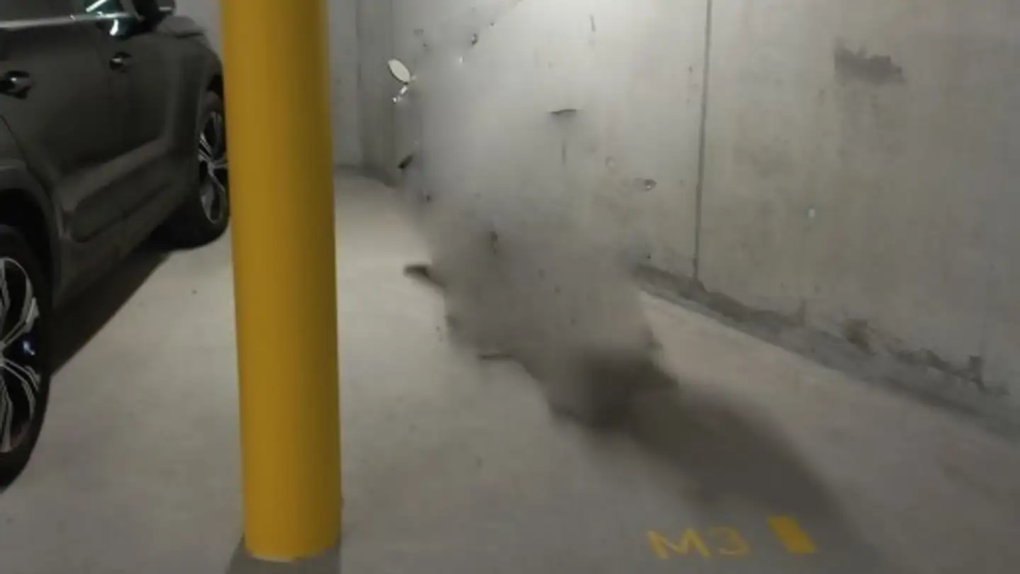 Einzelgarage mieten - Theodor-Felber-Strasse 2, 8408 Winterthur