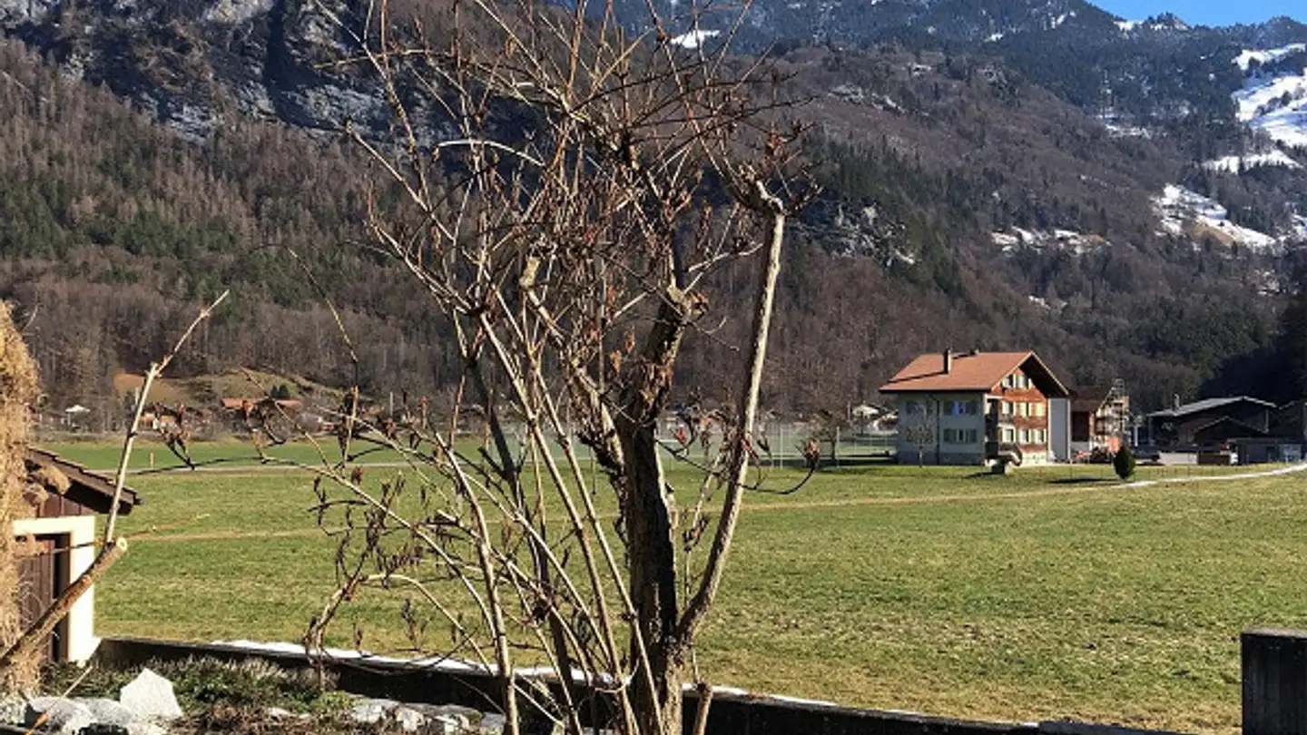 Single house for sale - 3860 Meiringen - Photo 4