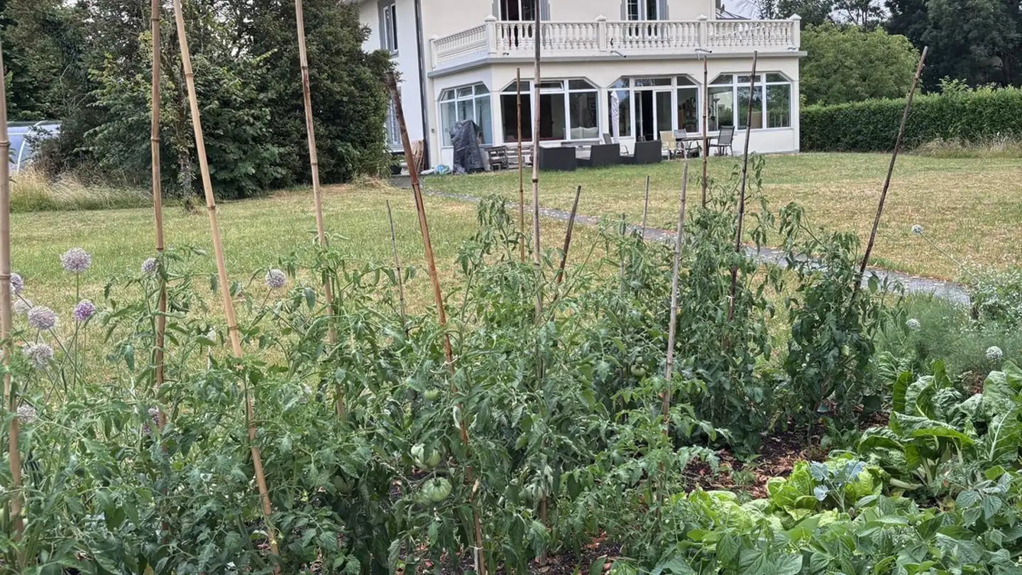 Stanza singola in affitto - 1762 Givisiez - Photo 2