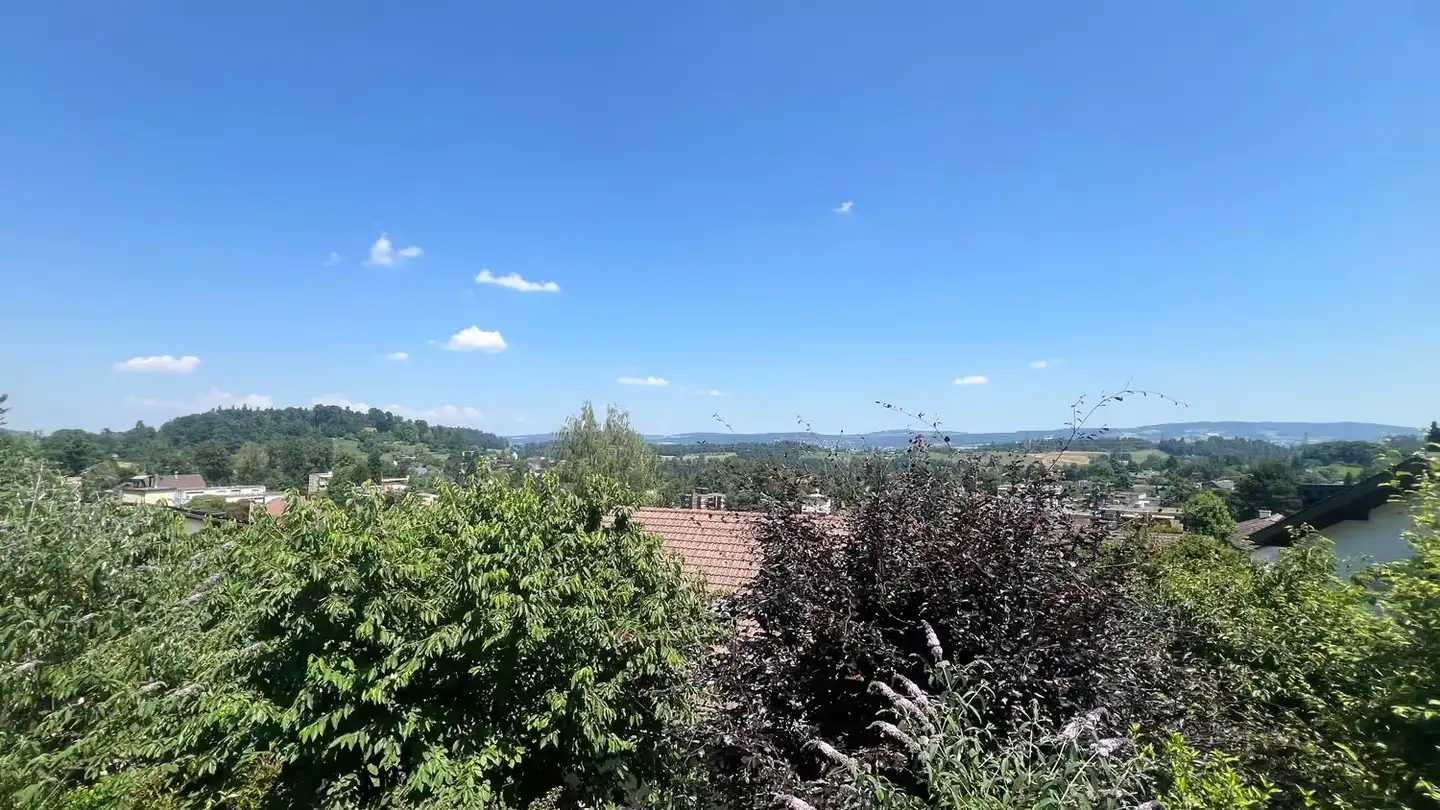 Maison individuelle à vendre - Quellenstrasse 8, 8135 Langnau am Albis