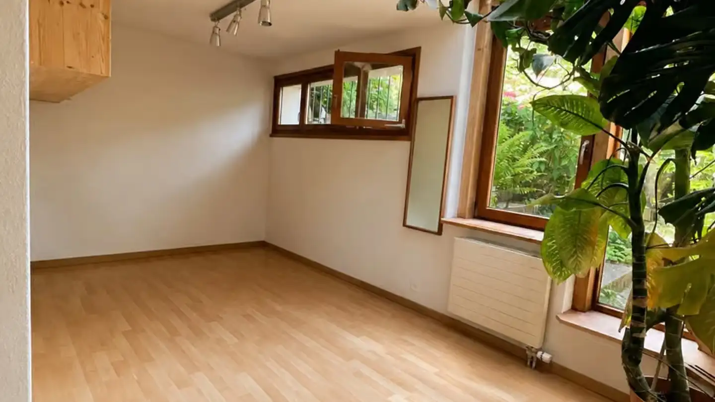 Maison individuelle à vendre - Quellenstrasse 8, 8135 Langnau am Albis - Photo 4