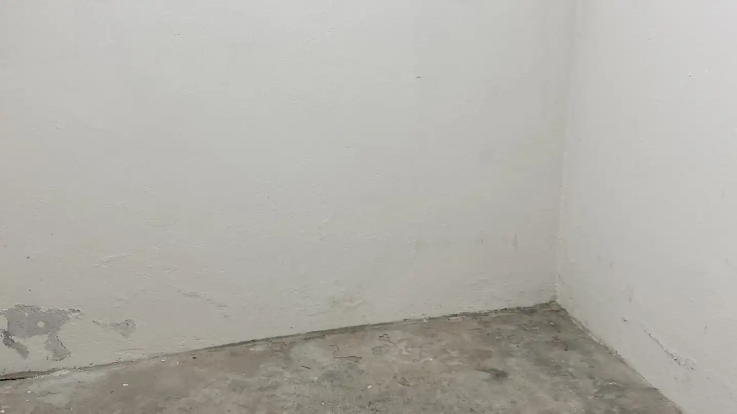 Cantina divisa in affitto - Stäblistrasse 11, 8006 Zürich