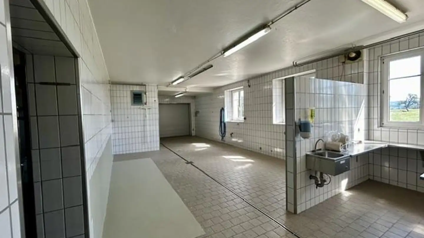 Proprietà industriale in affitto - Frauenfelderstrasse 94, 8514 Amlikon-Bissegg