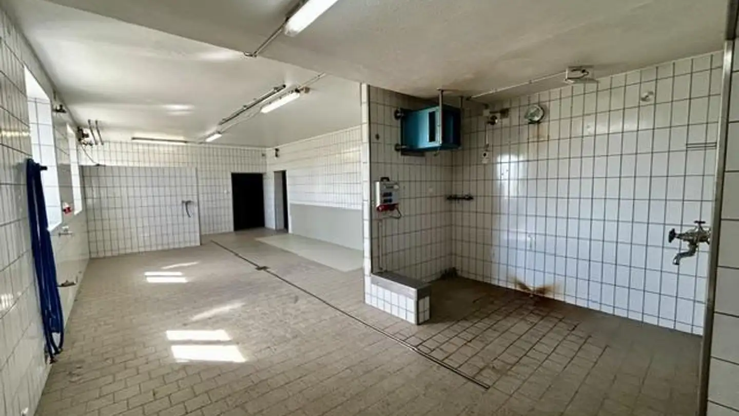 Proprietà industriale in affitto - Frauenfelderstrasse 94, 8514 Amlikon-Bissegg - Foto 3