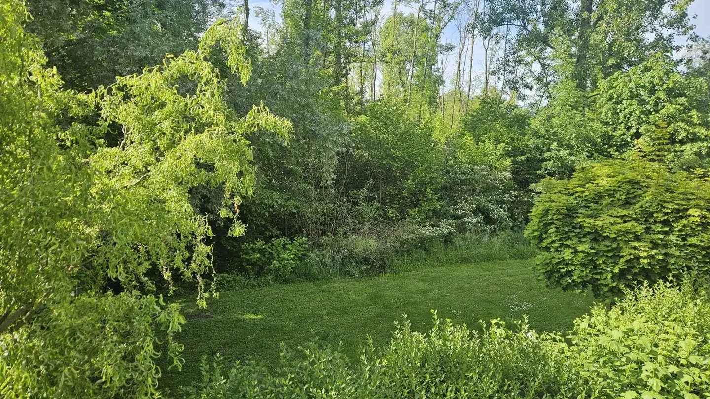 Appartamento in vendita - Chemin des Nouvelles Rives 4, 1588 Cudrefin - Photo 2