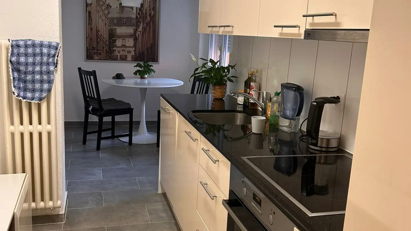 Chambre à louer - 8050 Zürich - Photo 4