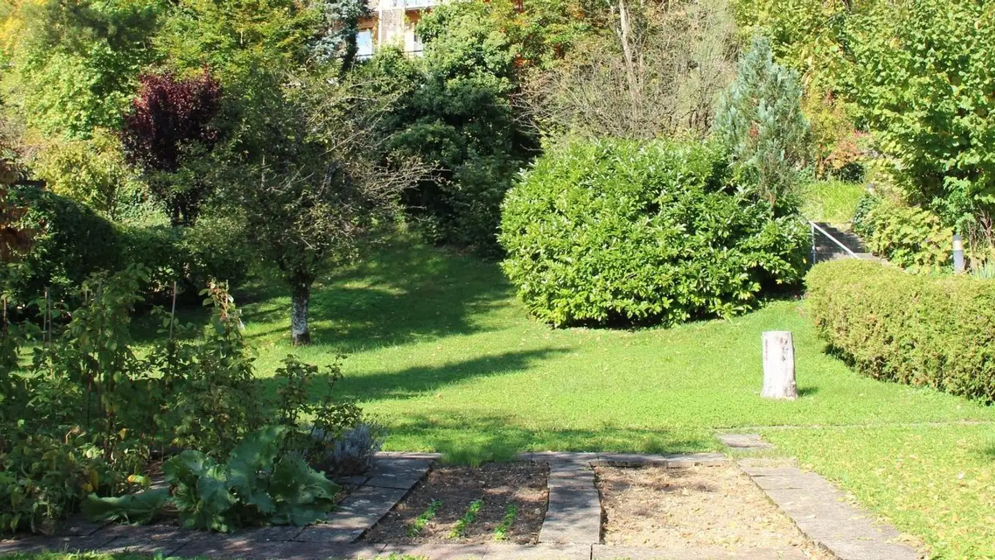 Terrain constructible à vendre - Rebacker, 4417 Ziefen - Photo 2