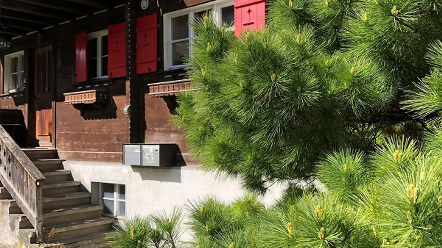 Residential building for sale - 3862 Innertkirchen