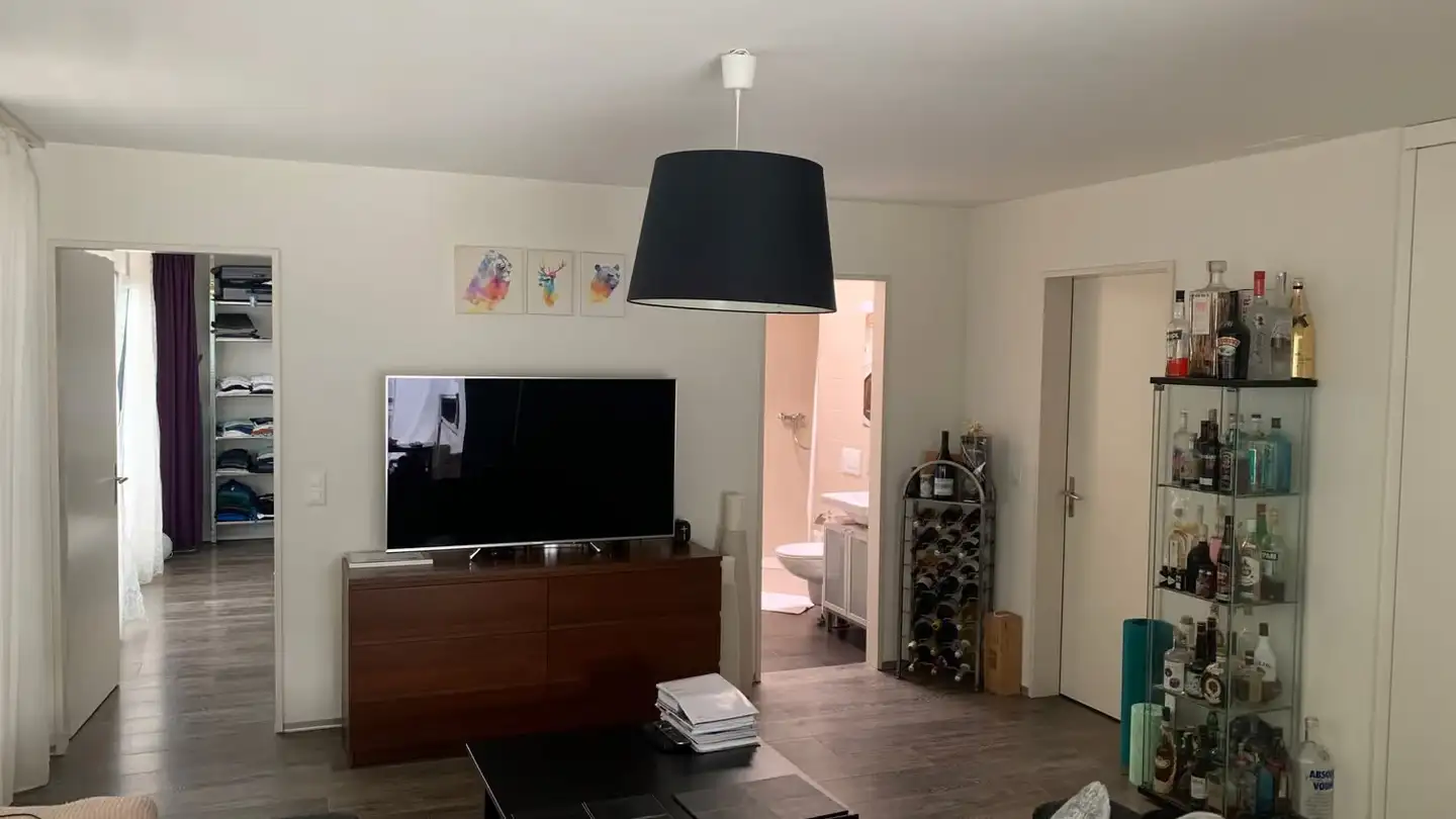 Attique à louer - Widumstrasse 4, 8603 Schwerzenbach - Photo 4