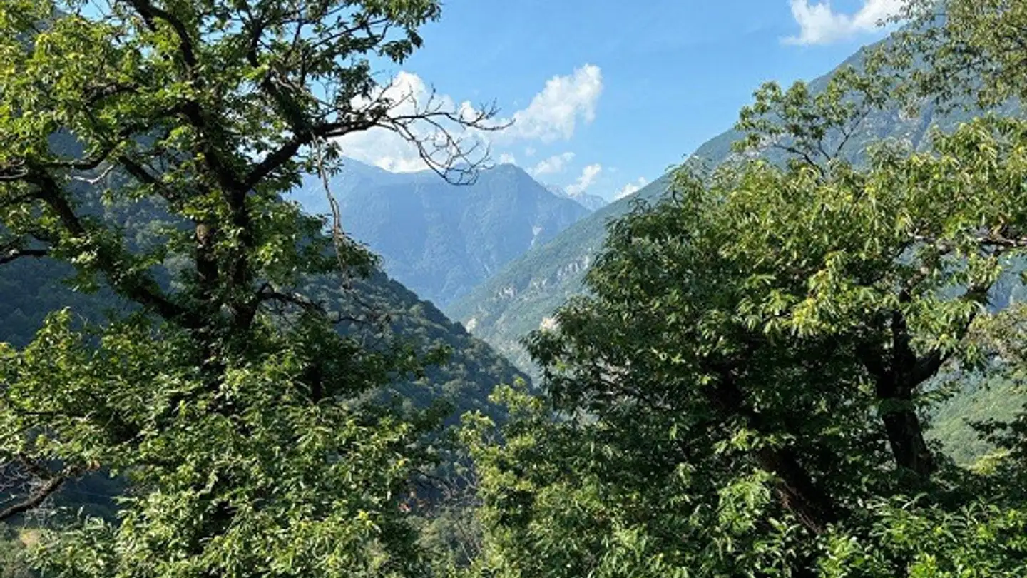 Einfamilienhaus kaufen - 6692 Brontallo - Foto 3