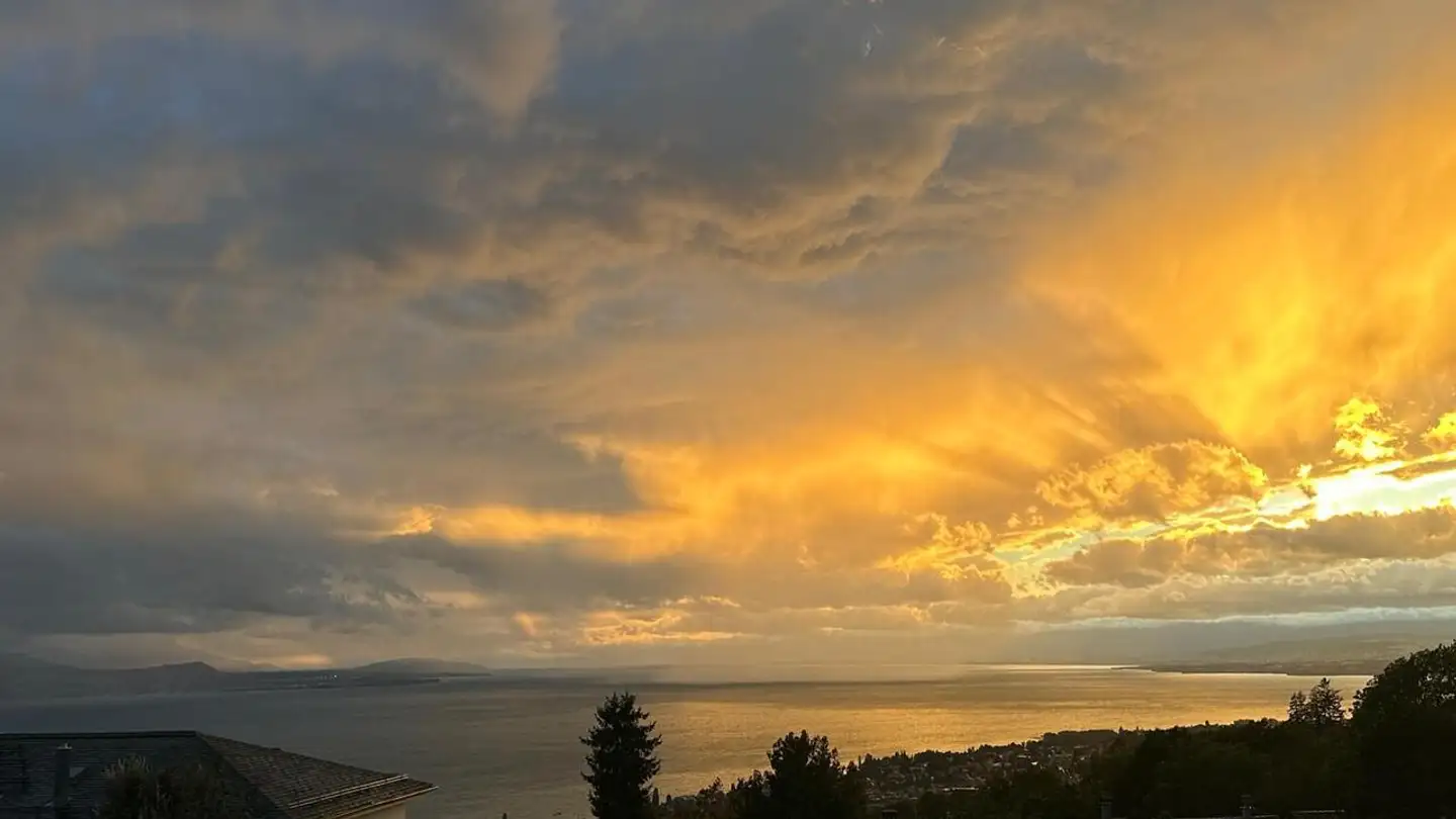 Appartement à louer - Route De Lavaux, 1095 Lutry