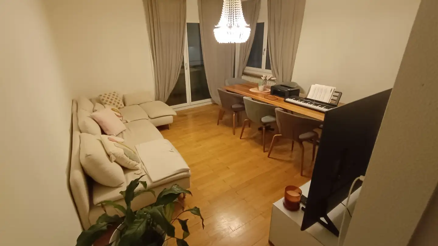 Chambre à louer - 8052 Zürich - Photo 3