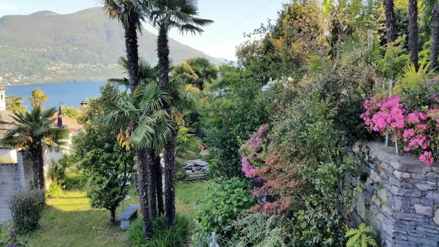 Residential building for sale - Via Costa Di Mezzo, 6614 Brissago - Photo 4
