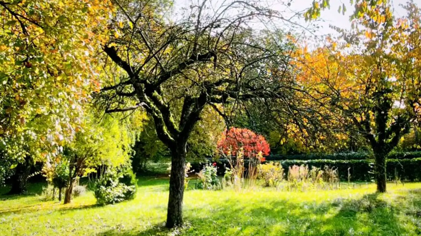 Apartment for sale - 1247 Anières - Photo 2