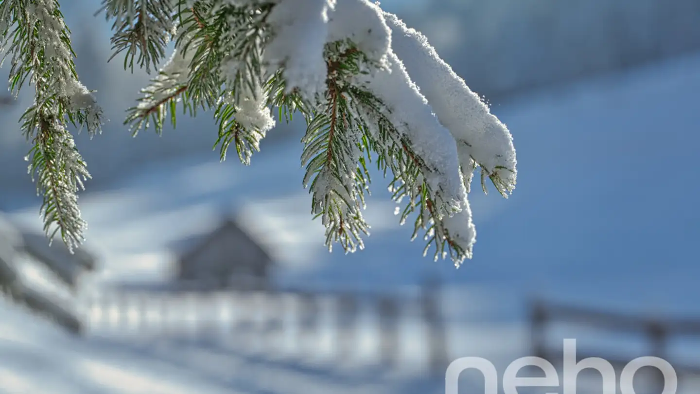 Terreno edificabile in vendita - Route Des Paccots, 1619 Les Paccots - Photo 2