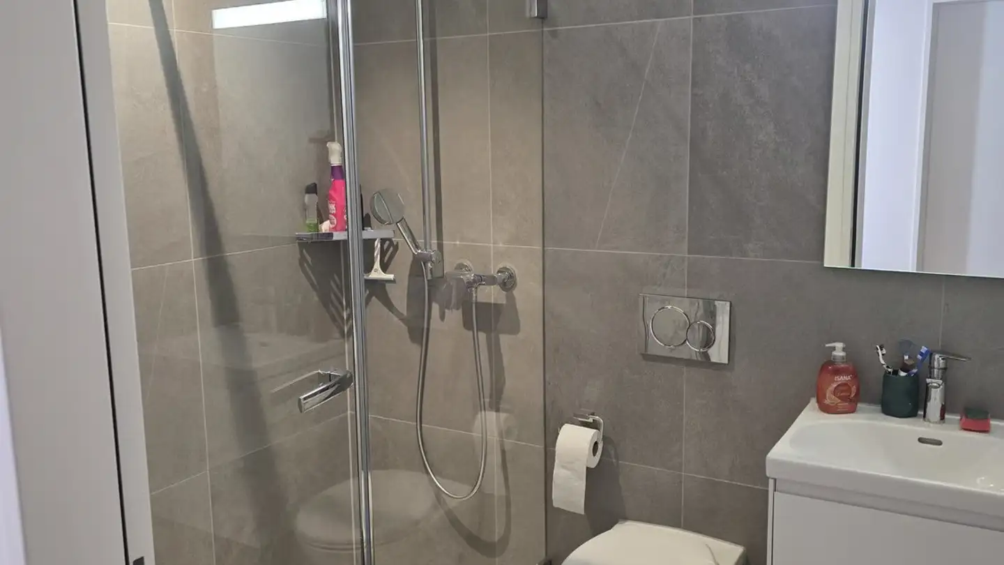 Wohnung mieten - Bollenhofstrasse 5, 8953 Dietikon