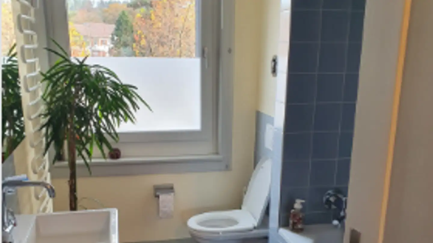 Wohnung mieten - Schaffhauserstrasse 155, 8400 Winterthur - Foto 4