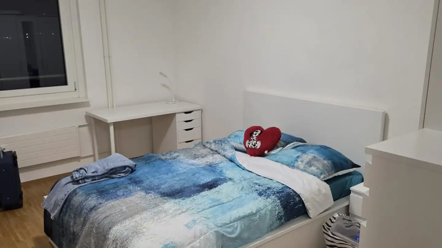 Appartamento in affitto - Birsfelderstrasse 93, 4132 Muttenz