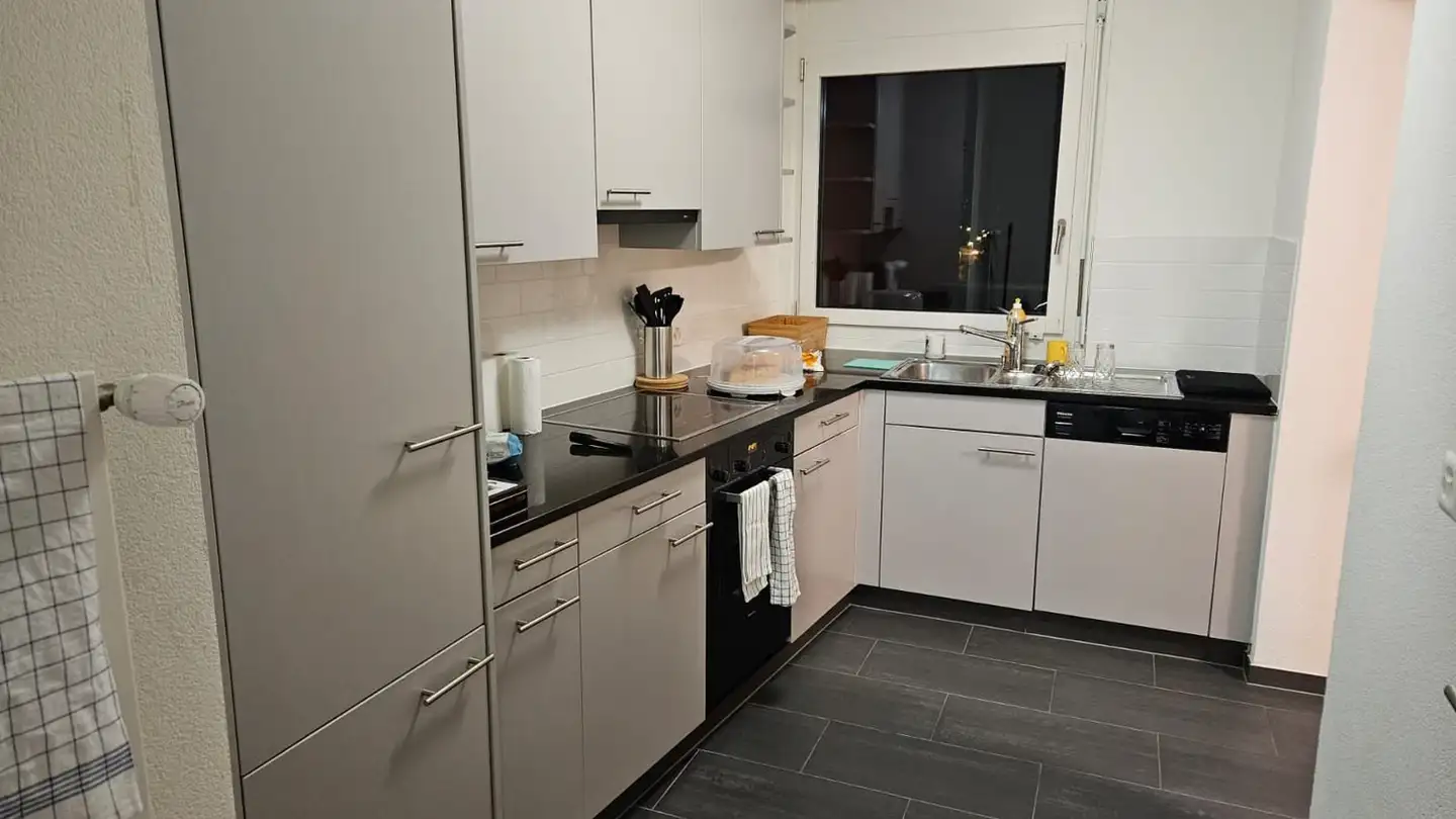 Appartamento in affitto - Birsfelderstrasse 93, 4132 Muttenz - Foto 2