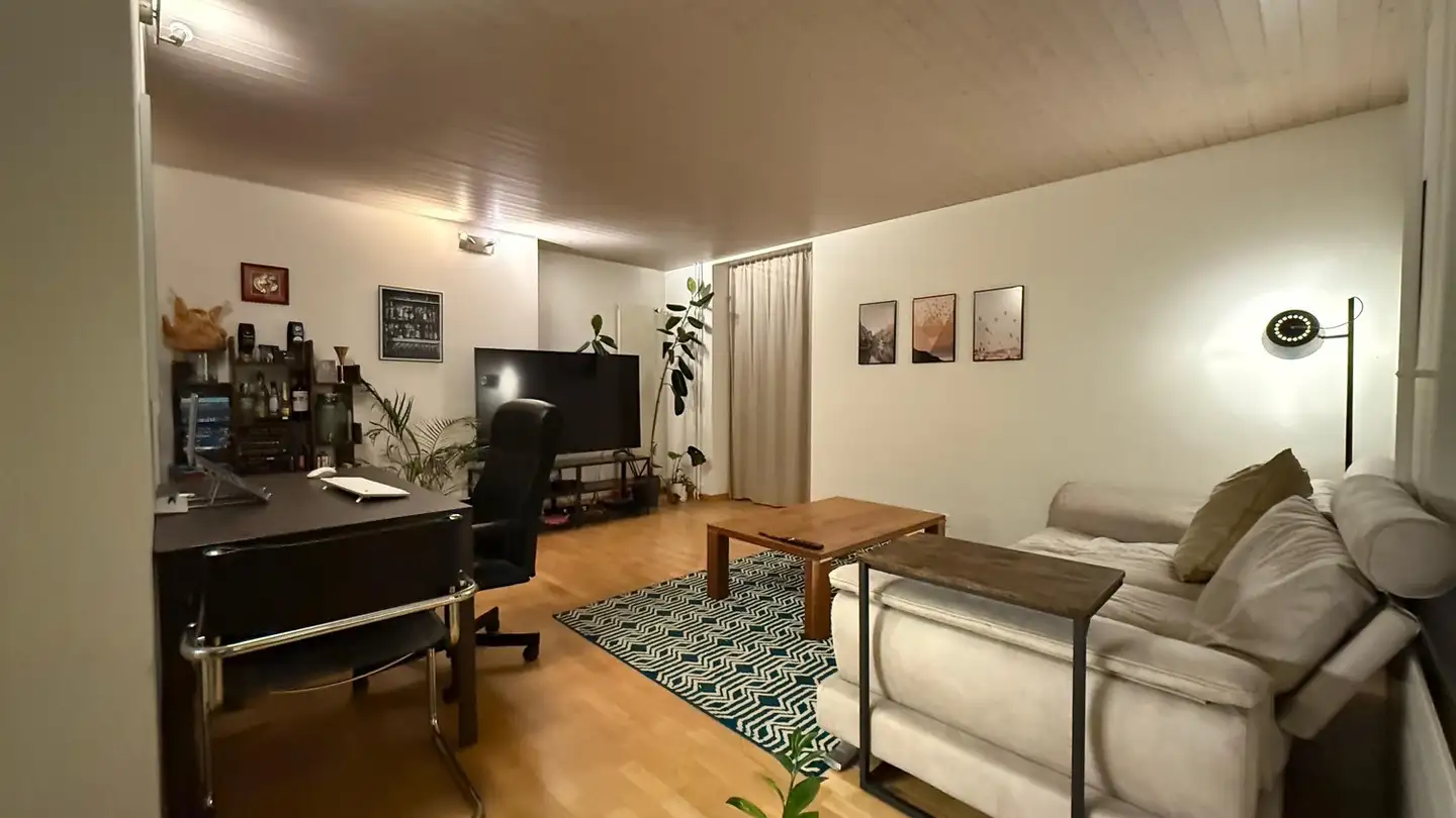 Chambre à louer - 8800 Thalwil