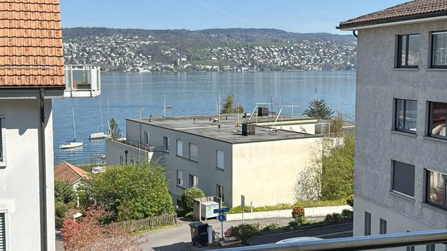 Chambre à louer - 8800 Thalwil - Photo 2