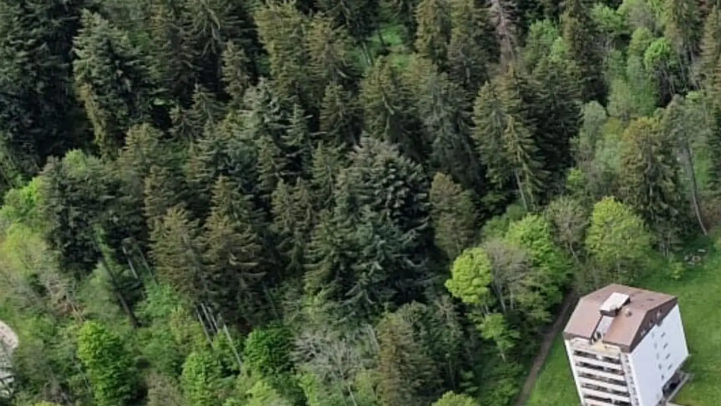 Appartamento in vendita - Chemin Bois Soleil, 2208 Les Hauts-Geneveys - Foto 2