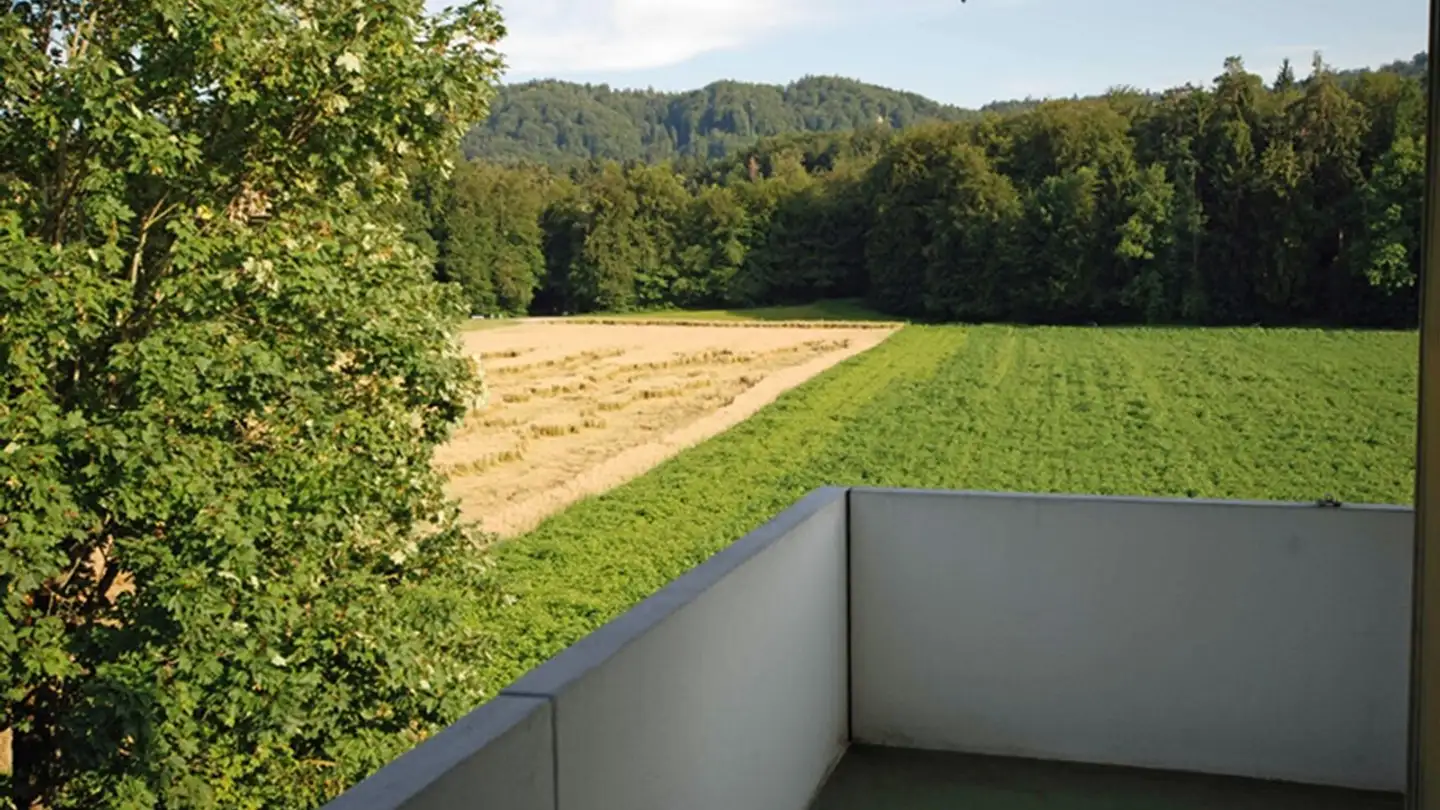 Appartement à vendre - Feldeggstrasse 26, 3322 Urtenen-Schönbühl