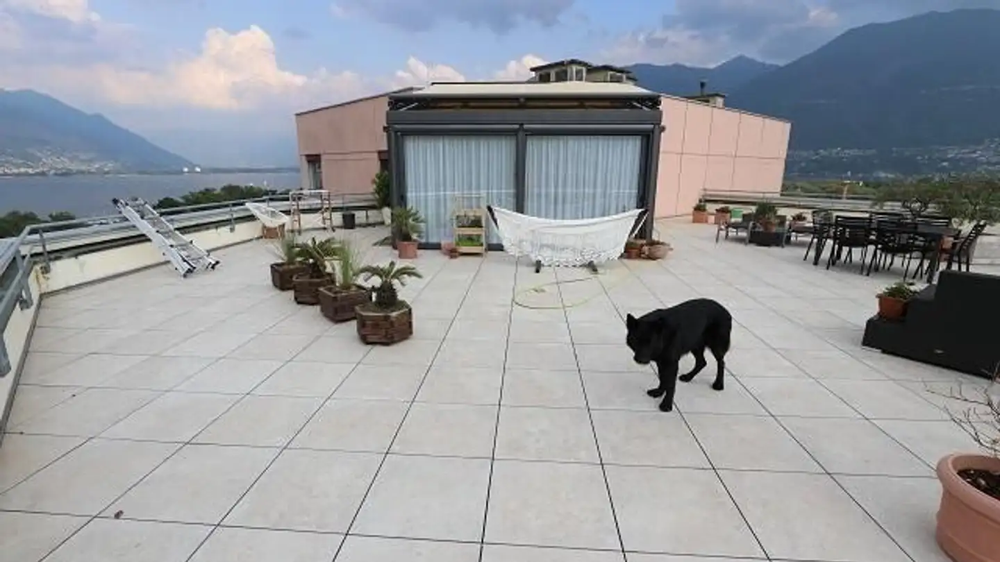 Appartamento a gradini in vendita - 6600 Locarno