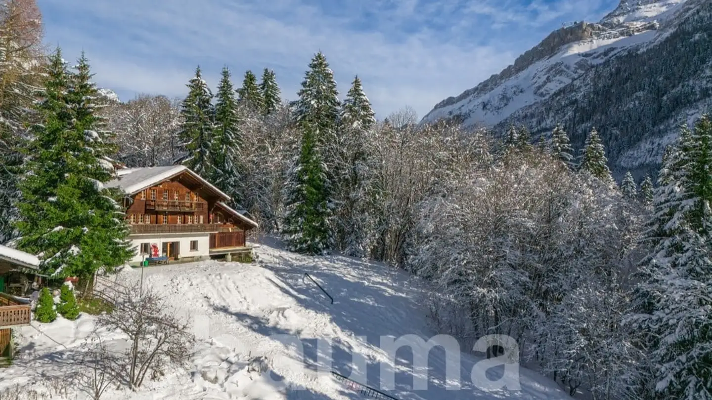 Chalet for sale - Les Diablerets, 1865 Les Diablerets - Photo 2