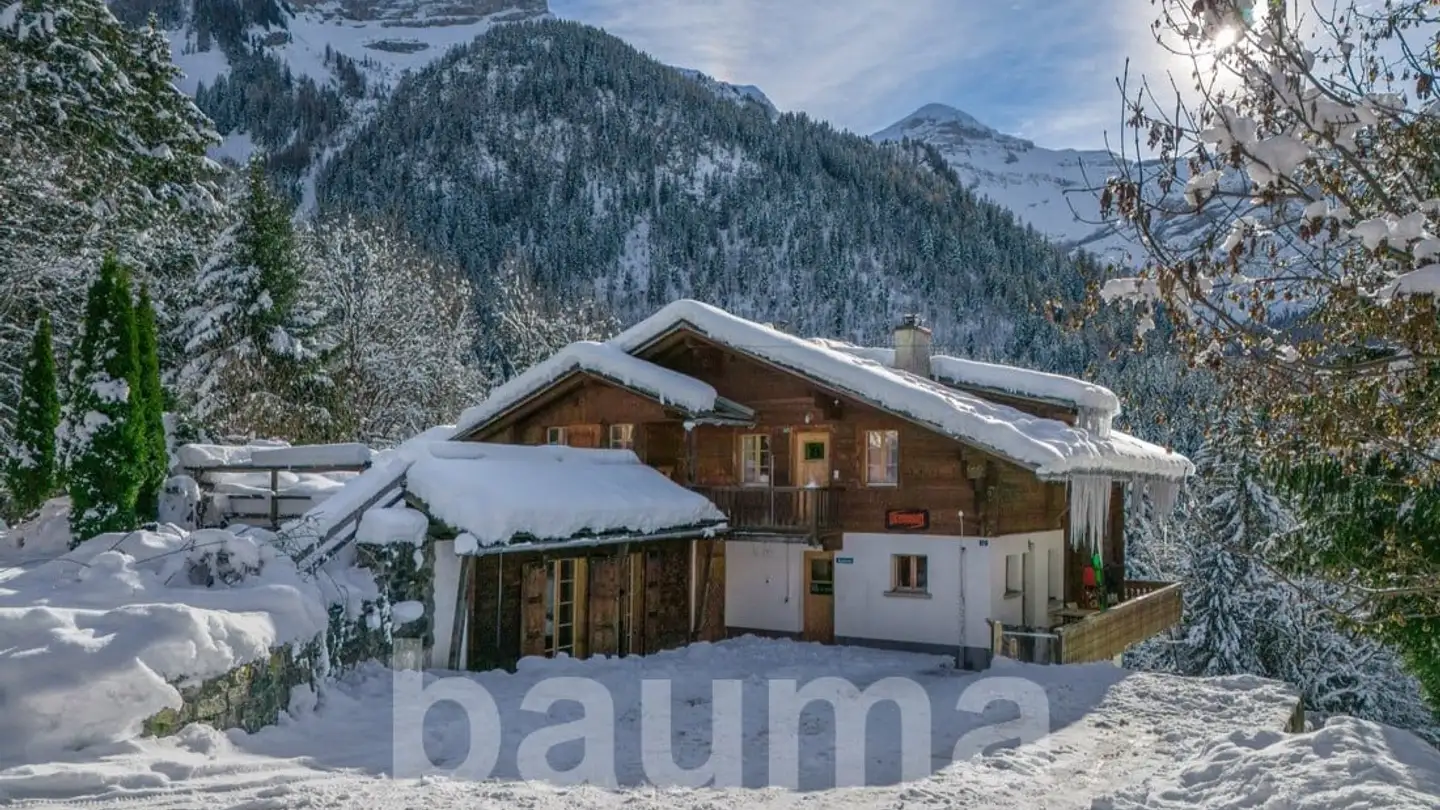 Chalet for sale - Les Diablerets, 1865 Les Diablerets - Photo 4