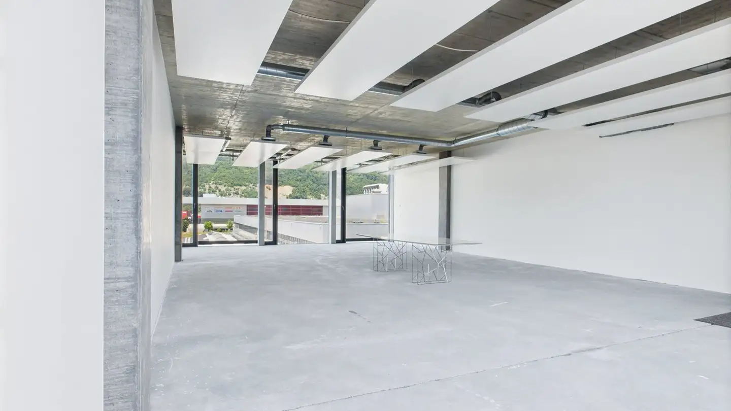 Gewerbe mieten - Chemin Du Long-Champ / Längfeldweg 116, 2504 Biel/Bienne - Foto 3