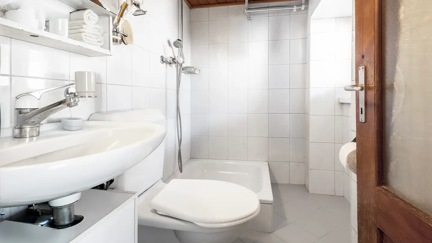 Einfamilienhaus kaufen - 6535 Roveredo GR