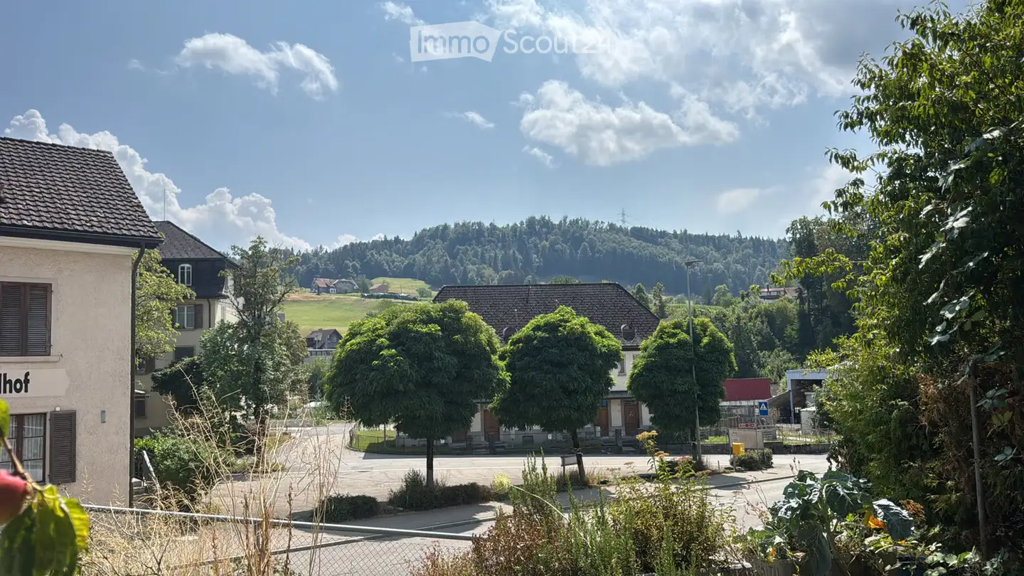 Appartamento in affitto - Rütistrasse 48, 8636 Wald ZH