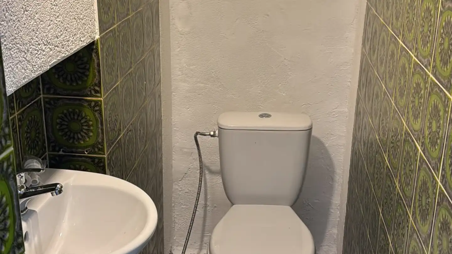 Appartamento in affitto - Rütistrasse 48, 8636 Wald ZH - Foto 3