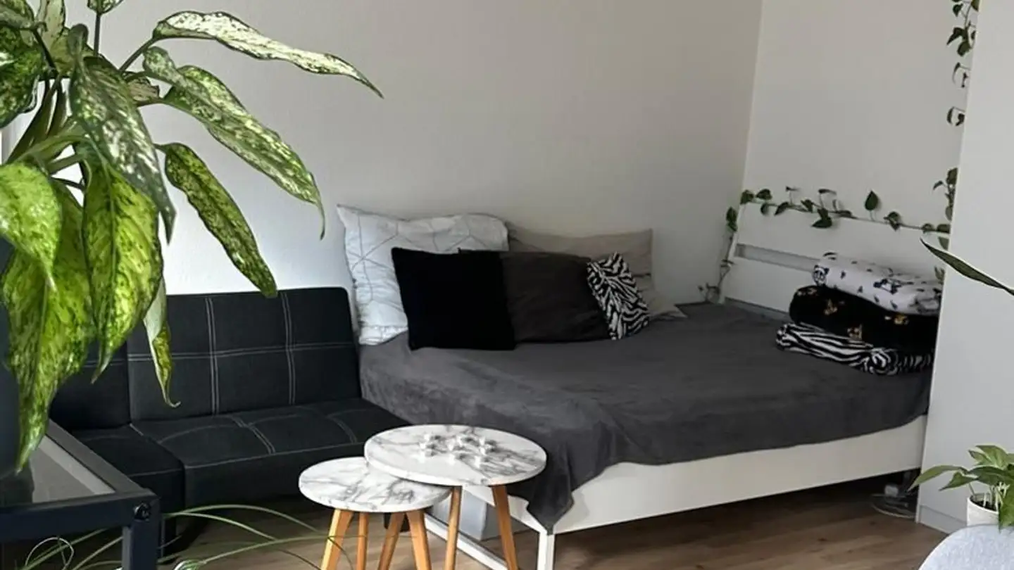 Wohnung mieten - Forchstrasse 225, 8032 Zürich
