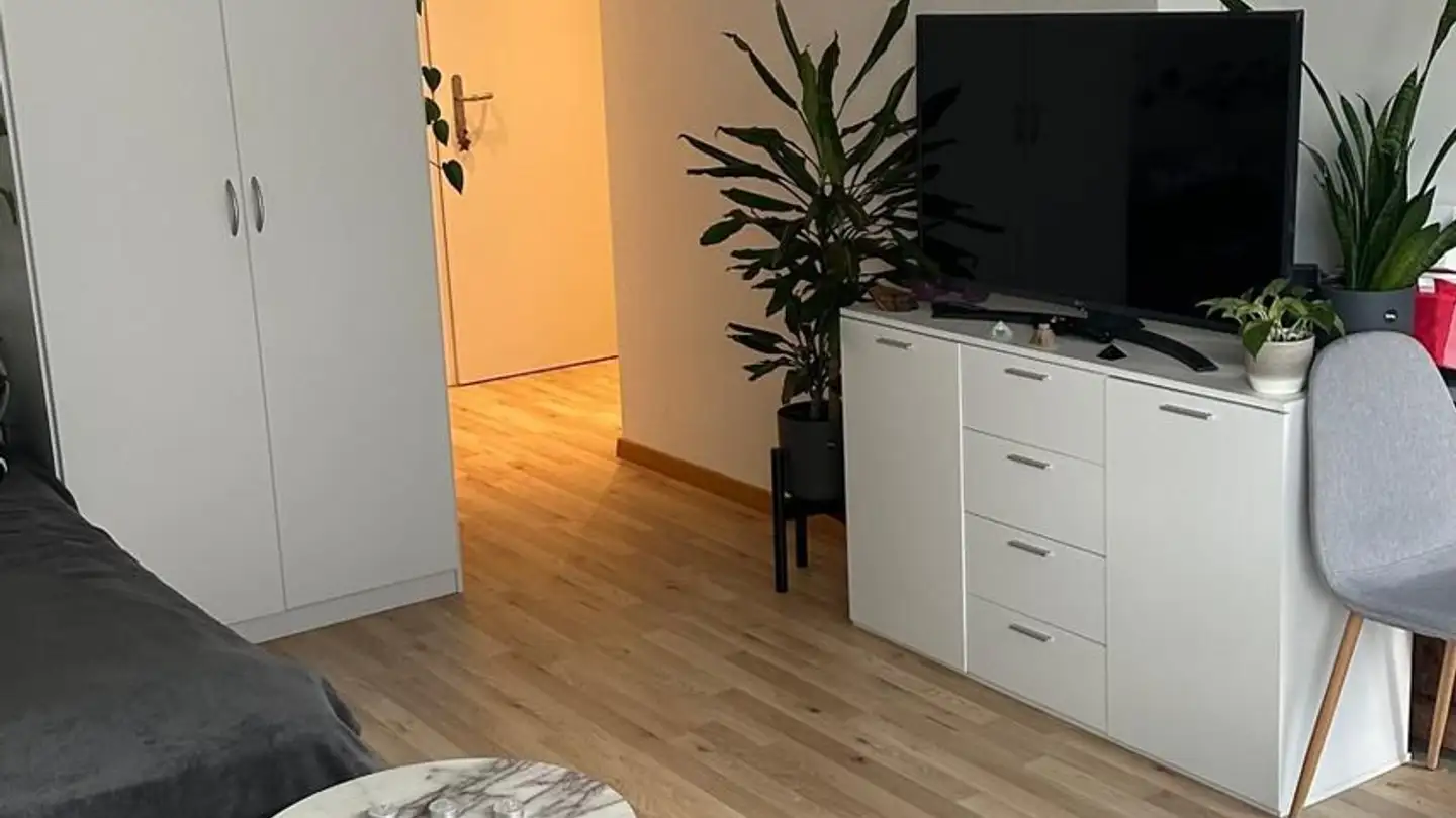 Furnished apartment for rent - Forchstrasse 225, 8032 Zürich - Photo 3