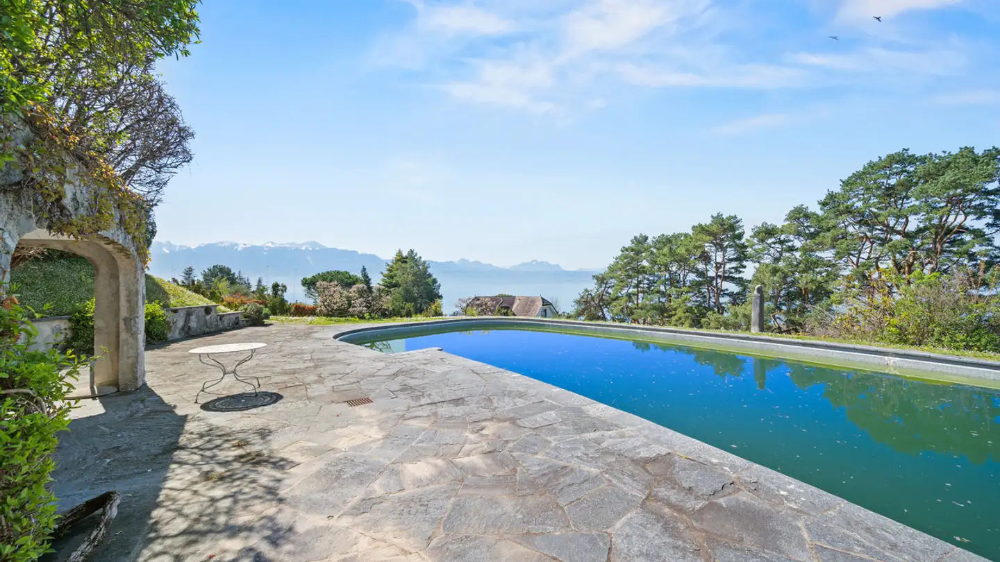 Schloss kaufen - 1094 Paudex - Foto 2