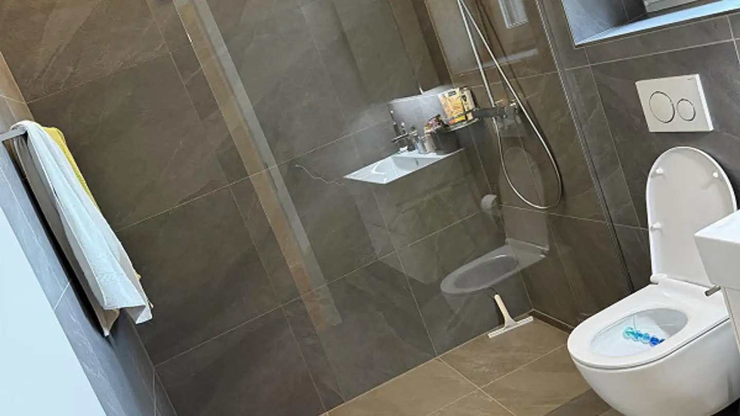 Attico in affitto - Nelkenweg 4, 9451 Kriessern - Photo 4