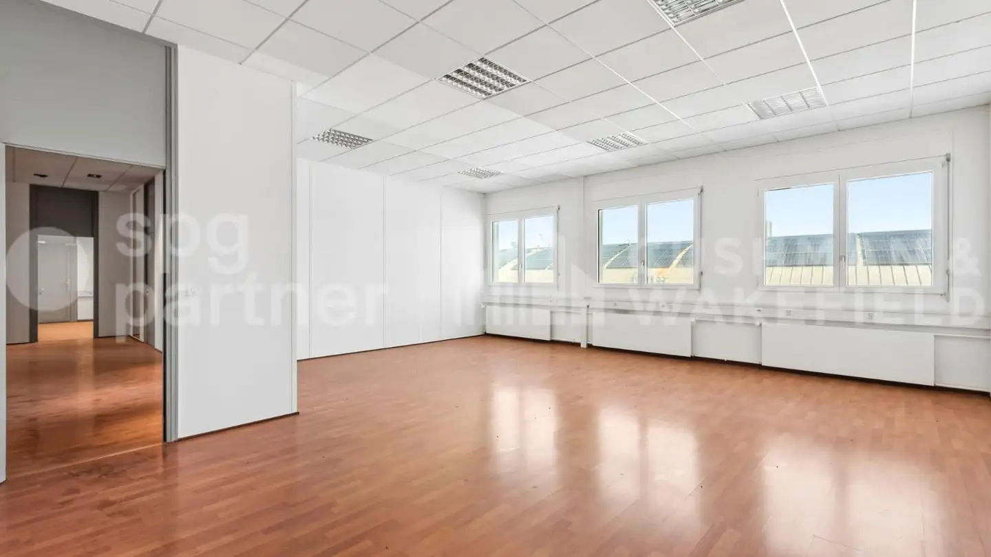 Commercial for sale - Route De Meyrin, 1217 Meyrin - Photo 4