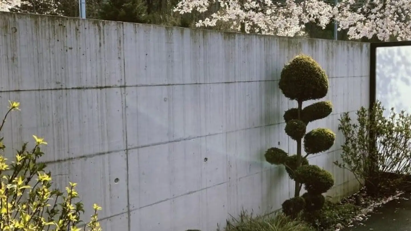 Studio for rent - Forchstrasse 426, 8702 Zollikon