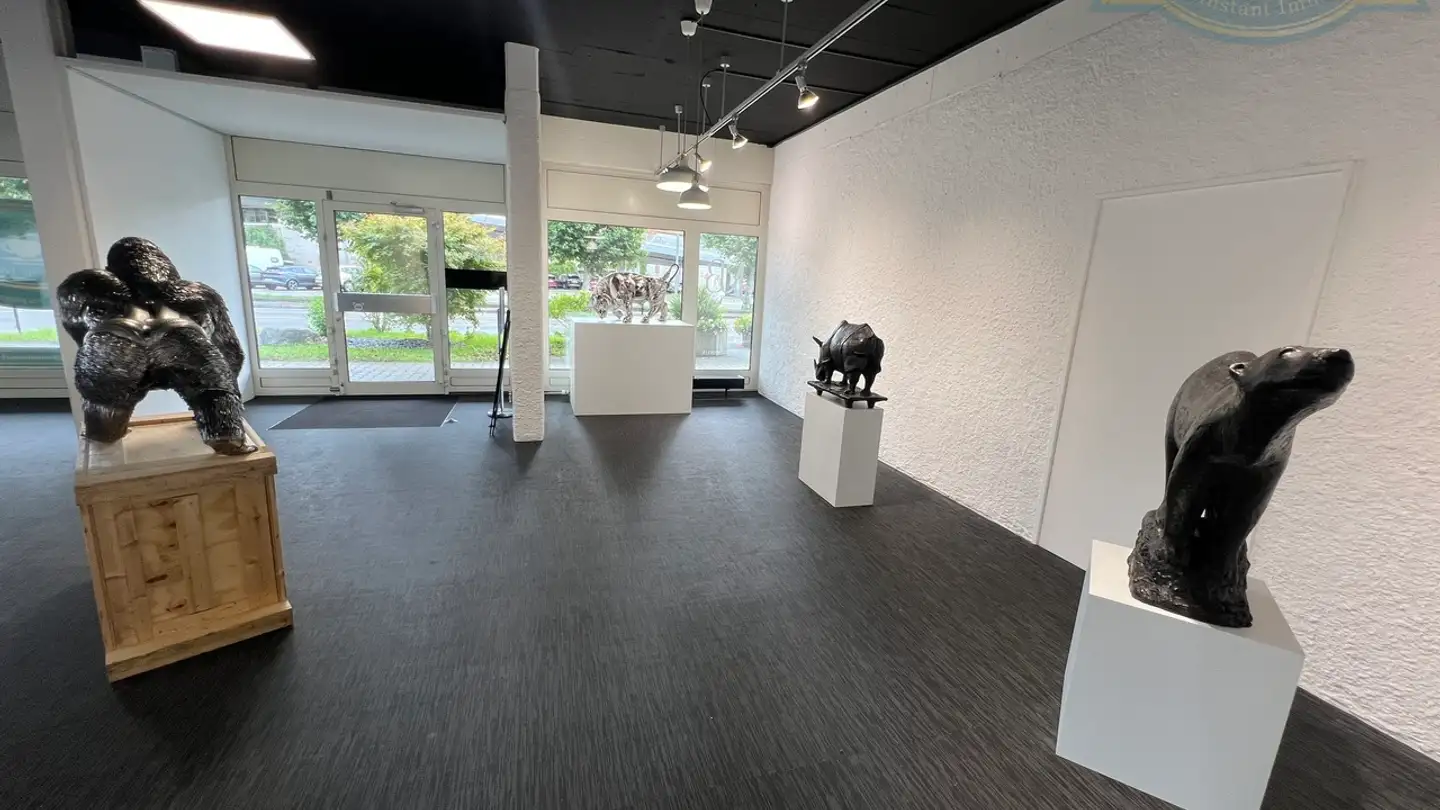 Commercial à louer - Rue Du Jura 11, 2900 Porrentruy - Photo 3