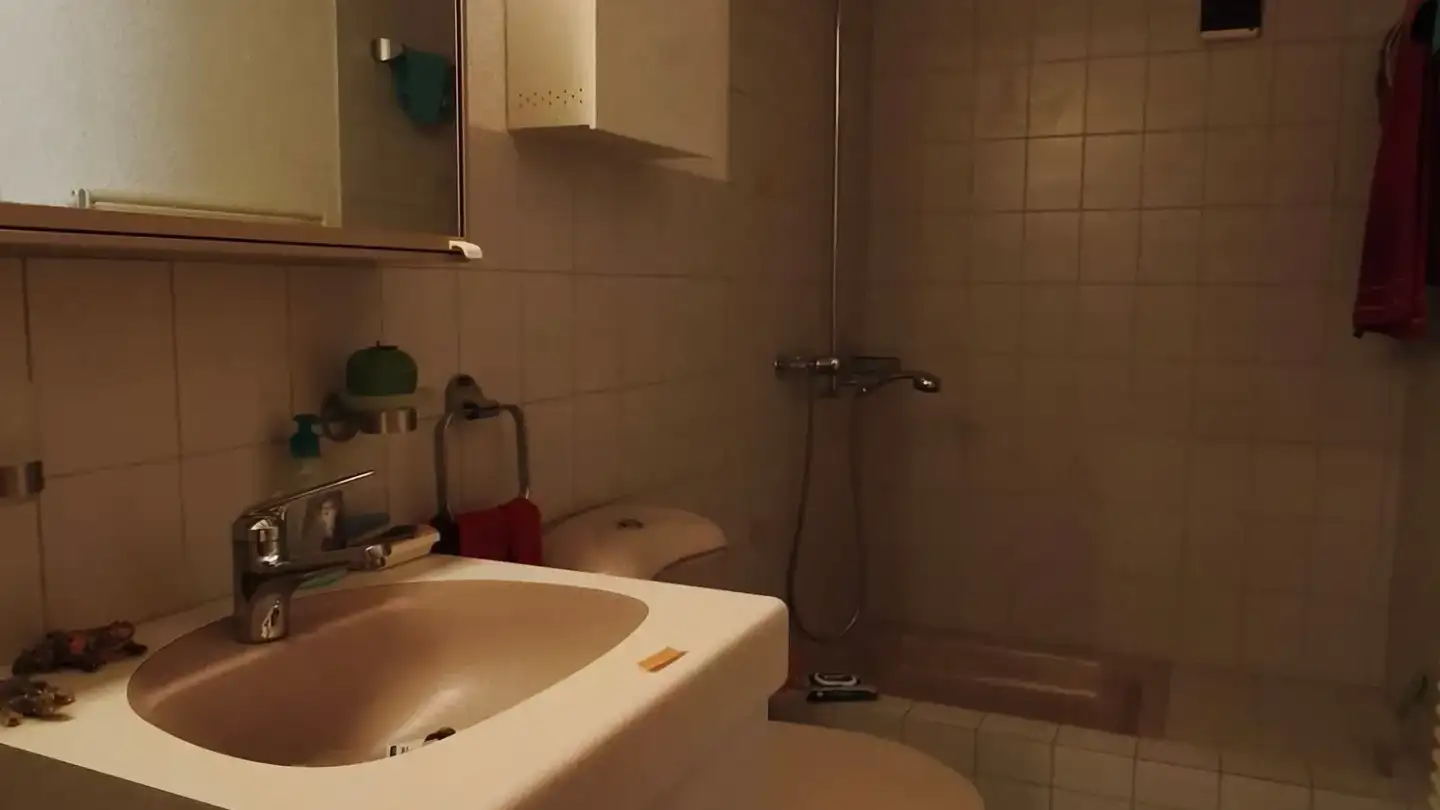 Appartamento in affitto - Mitteldorfstrasse 25, 8478 Thalheim an der Thur - Foto 2