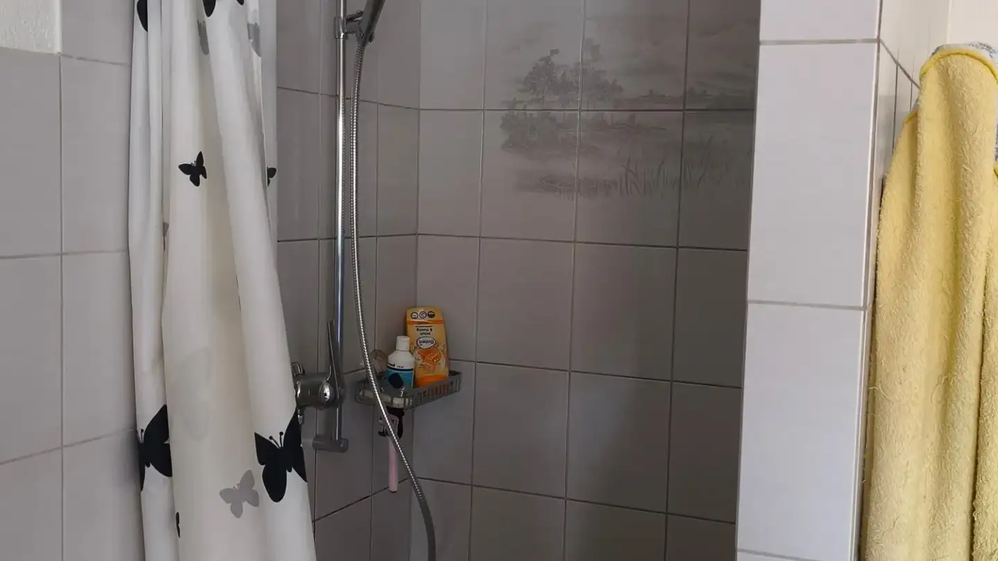 Appartamento in affitto - Mitteldorfstrasse 25, 8478 Thalheim an der Thur - Foto 4