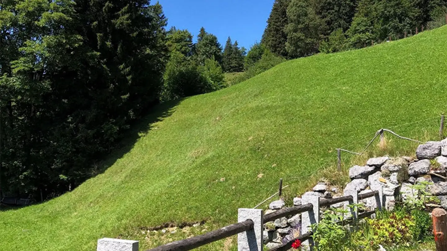 Einfamilienhaus kaufen - 6086 Hasliberg Reuti - Foto 4