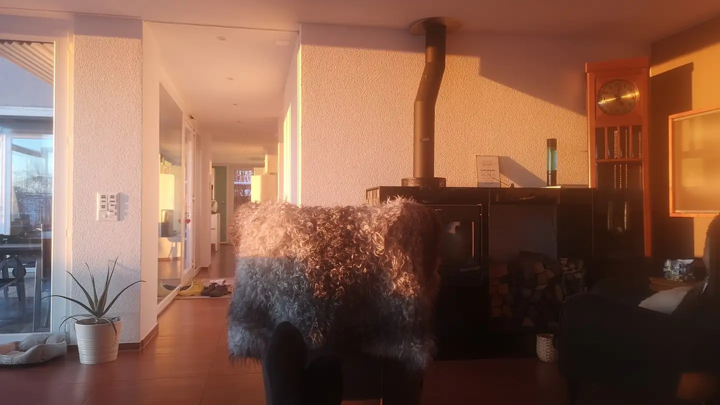 Single house for sale - 5454 Bellikon - Photo 4