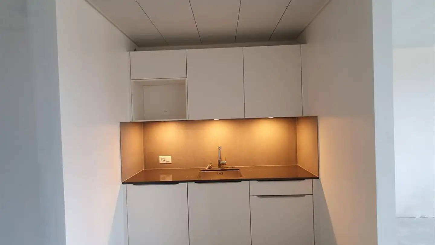 Commercial for rent - Rue François- Perréard 16, 1225 Chêne-Bourg - Photo 4