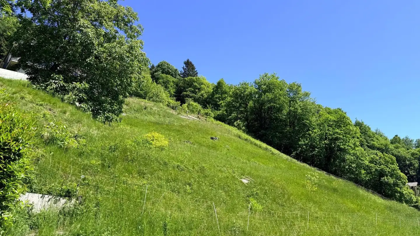Constructible plot for sale - 6994 Aranno - Photo 2