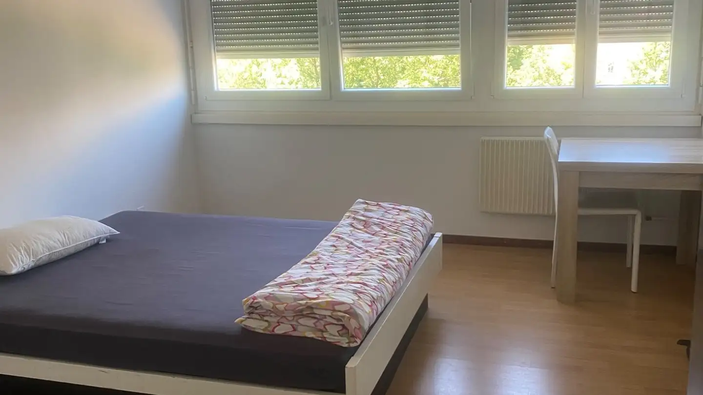 Single room for rent - Chemin Du Champ-D'anier 14, 1209 Genève - Photo 3